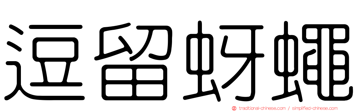 逗留蚜蠅