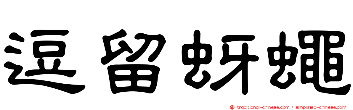 逗留蚜蠅