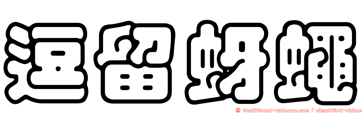 逗留蚜蠅