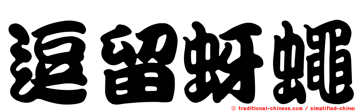逗留蚜蠅