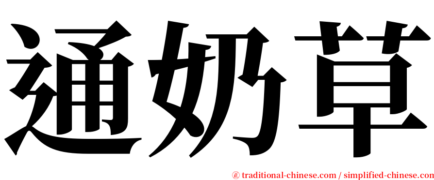 通奶草 serif font