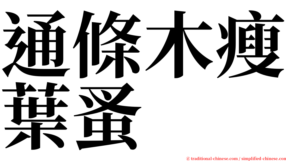通條木瘦葉蚤 serif font