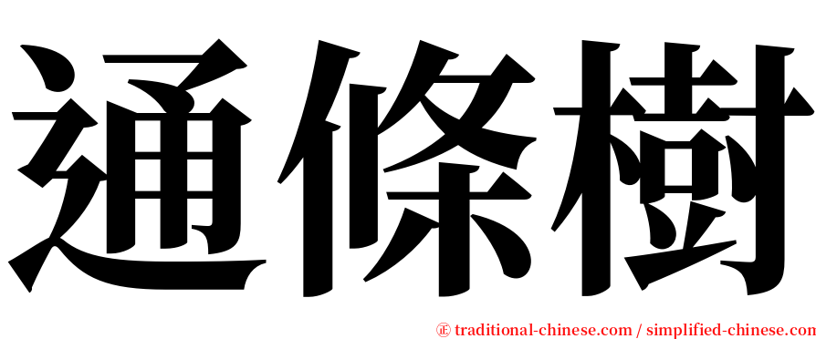 通條樹 serif font