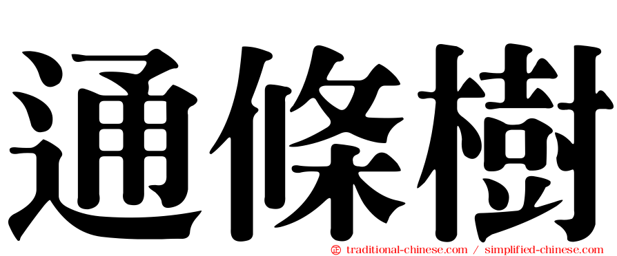 通條樹