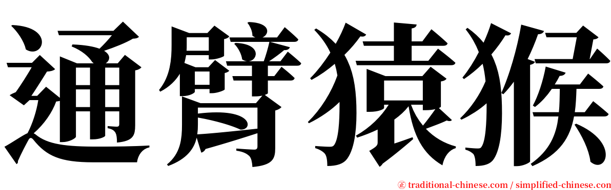 通臂猿猴 serif font
