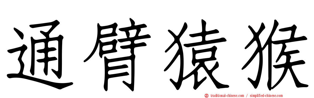通臂猿猴