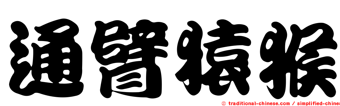 通臂猿猴