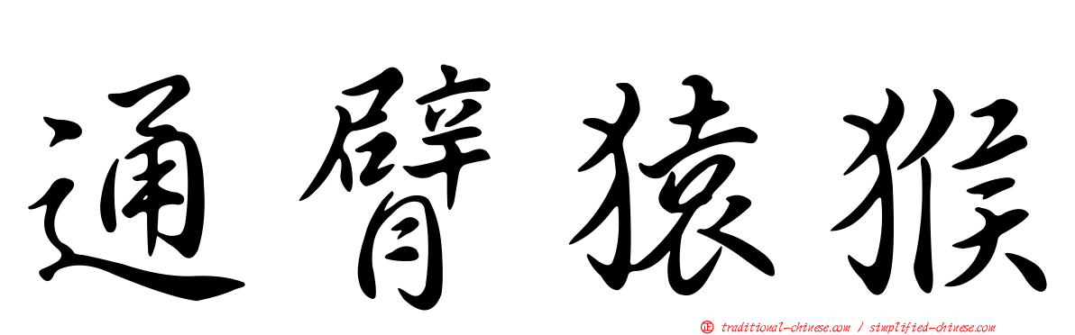 通臂猿猴