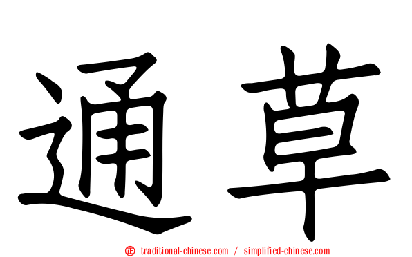 通草