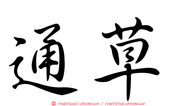 通草