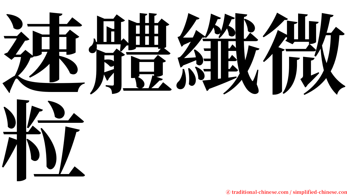 速體纖微粒 serif font