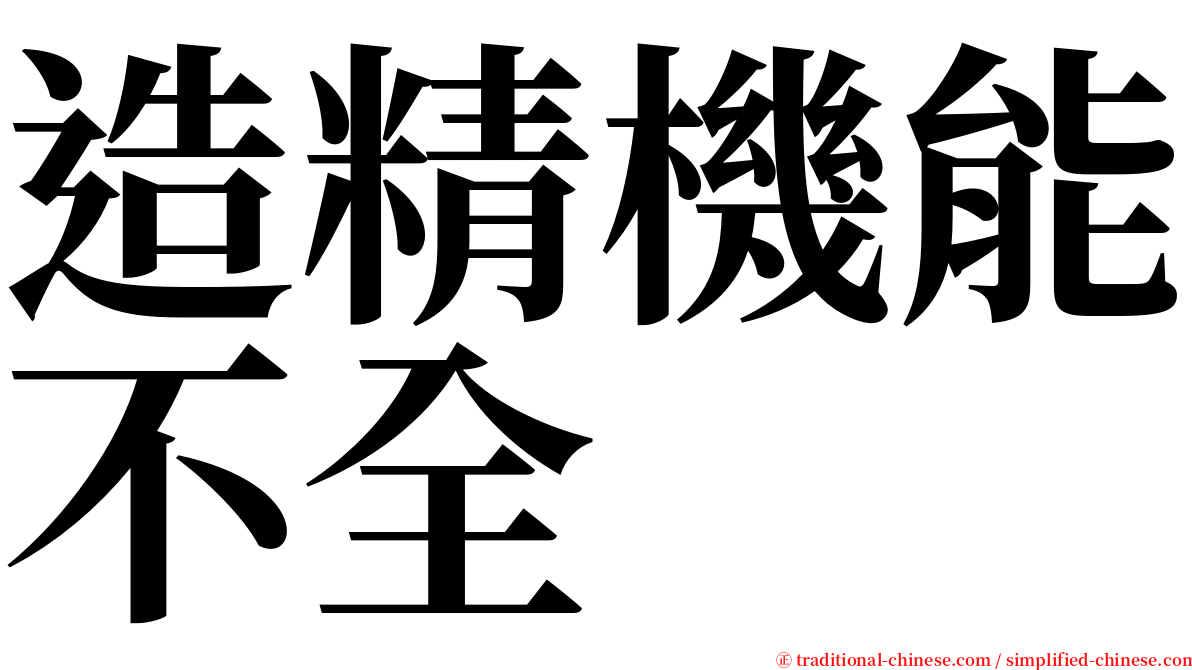 造精機能不全 serif font