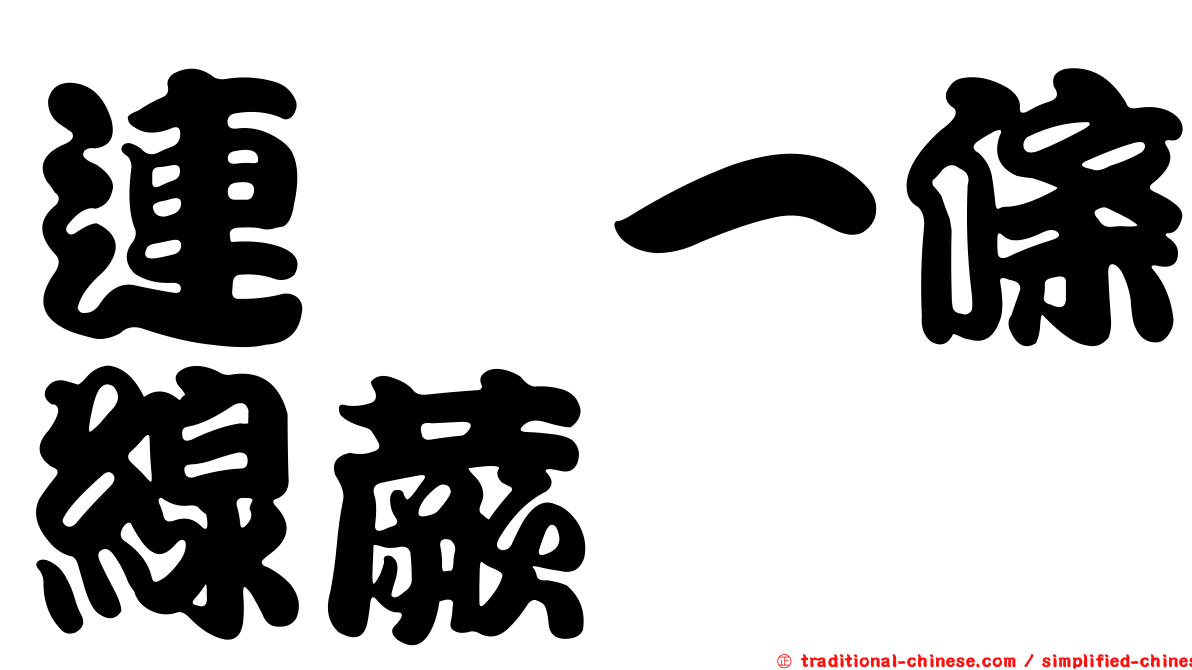連孢一條線蕨