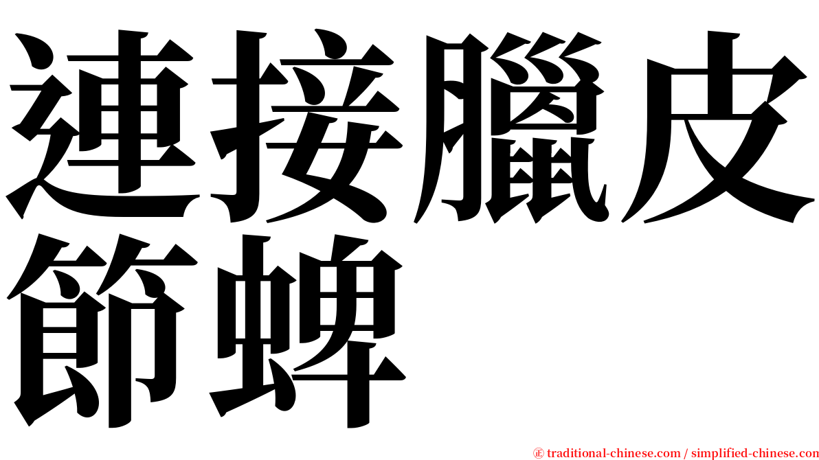 連接臘皮節蜱 serif font