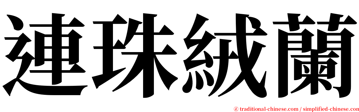 連珠絨蘭 serif font
