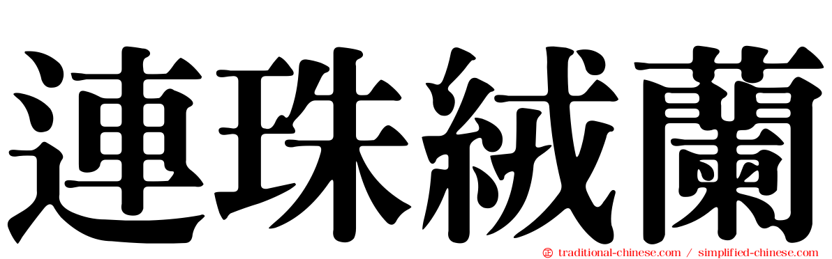 連珠絨蘭