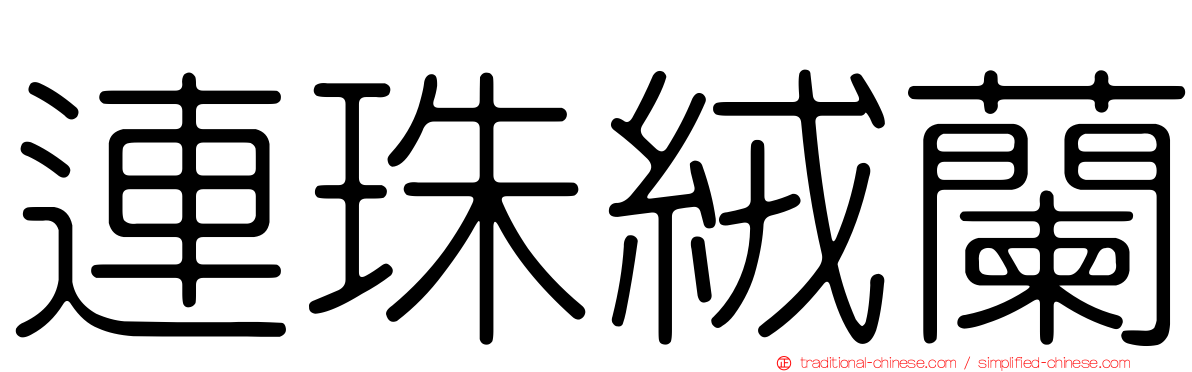 連珠絨蘭