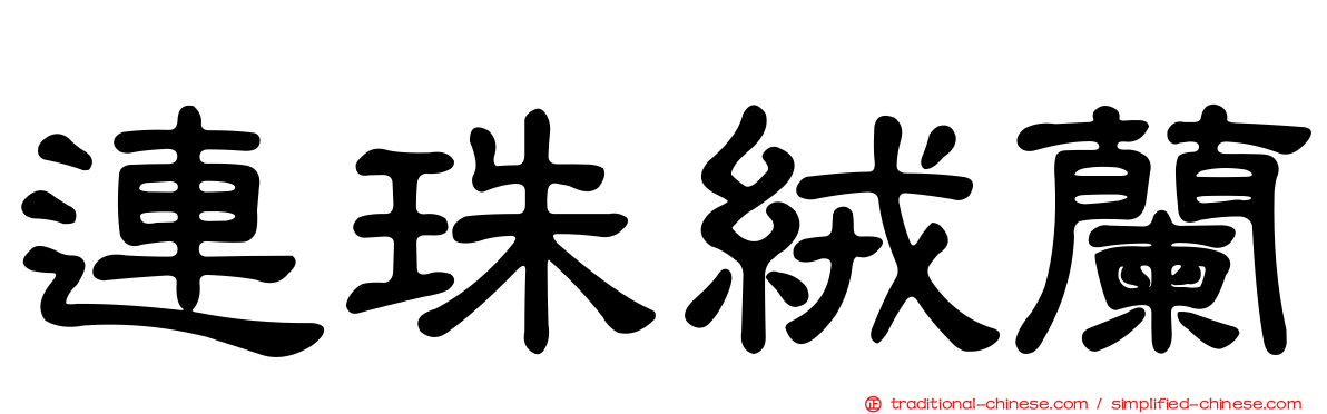 連珠絨蘭
