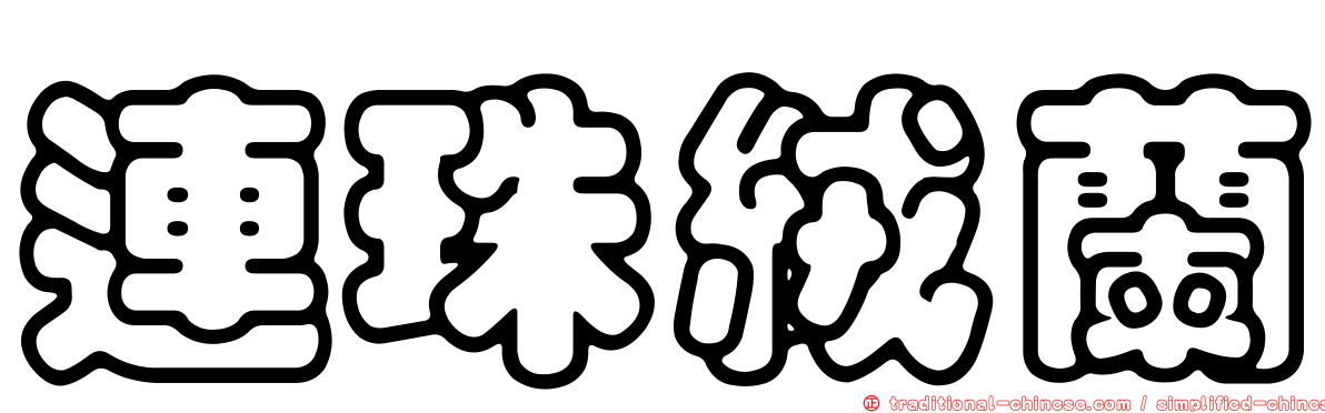連珠絨蘭