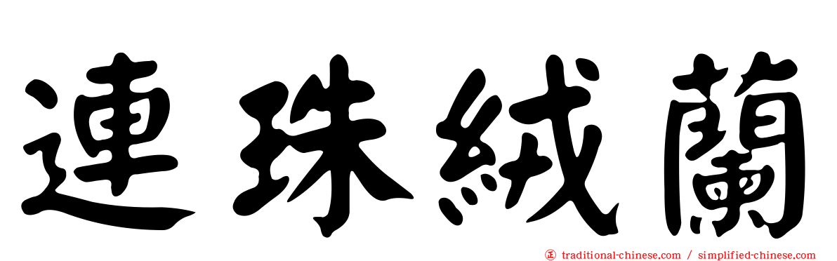 連珠絨蘭