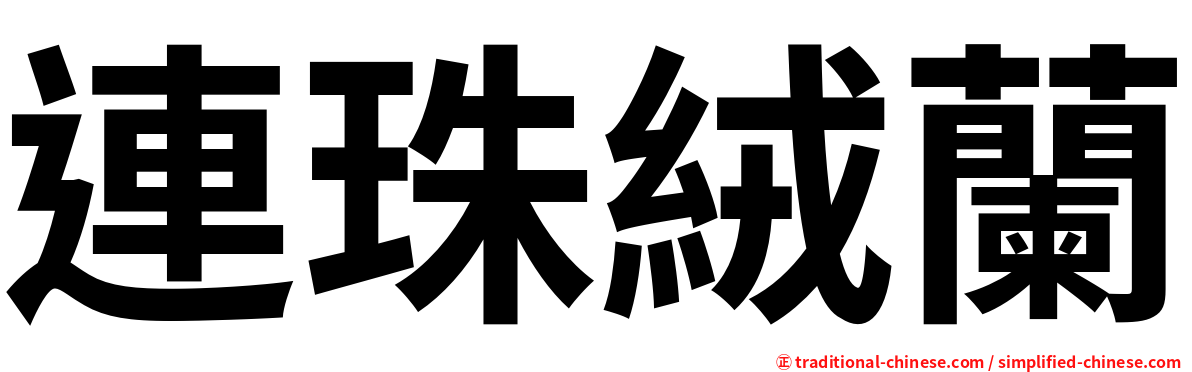 連珠絨蘭