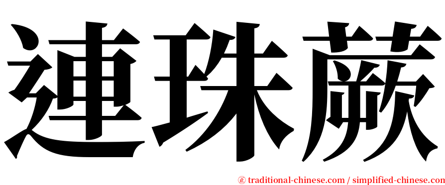 連珠蕨 serif font