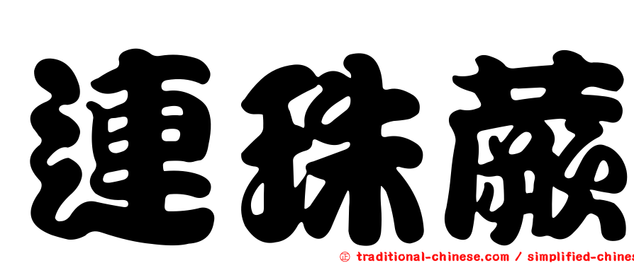 連珠蕨