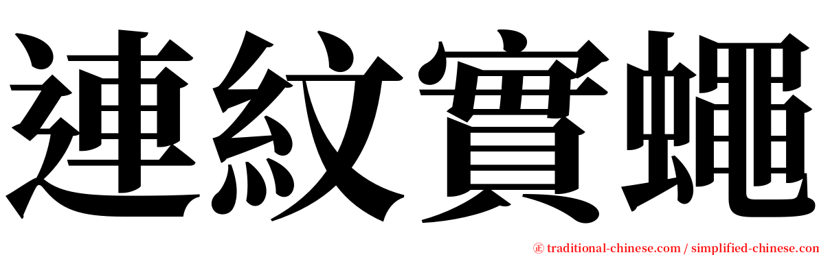 連紋實蠅 serif font