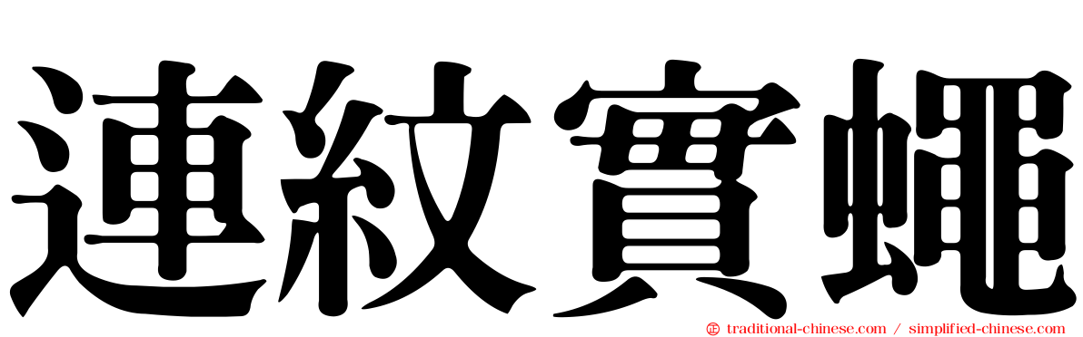 連紋實蠅