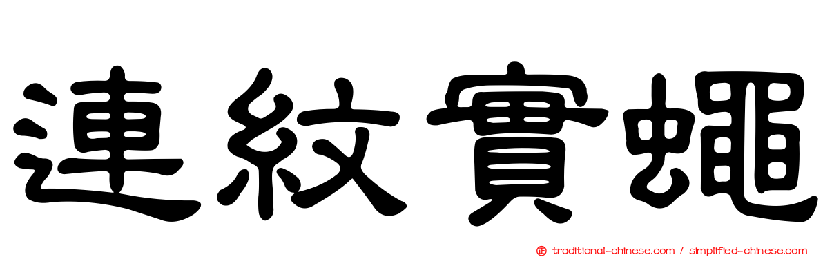 連紋實蠅