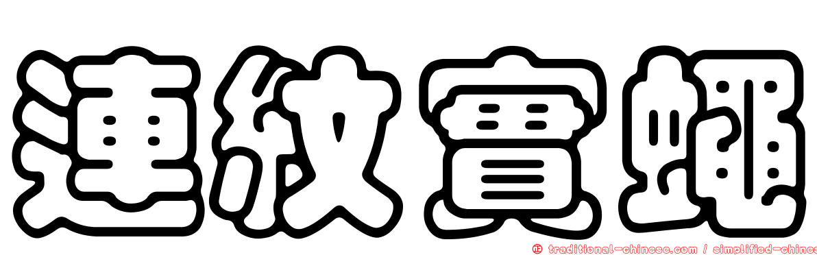連紋實蠅