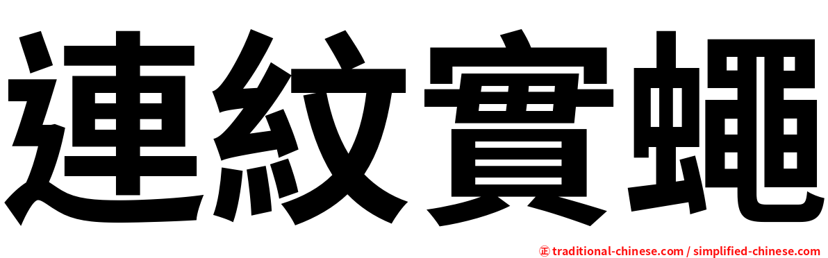 連紋實蠅