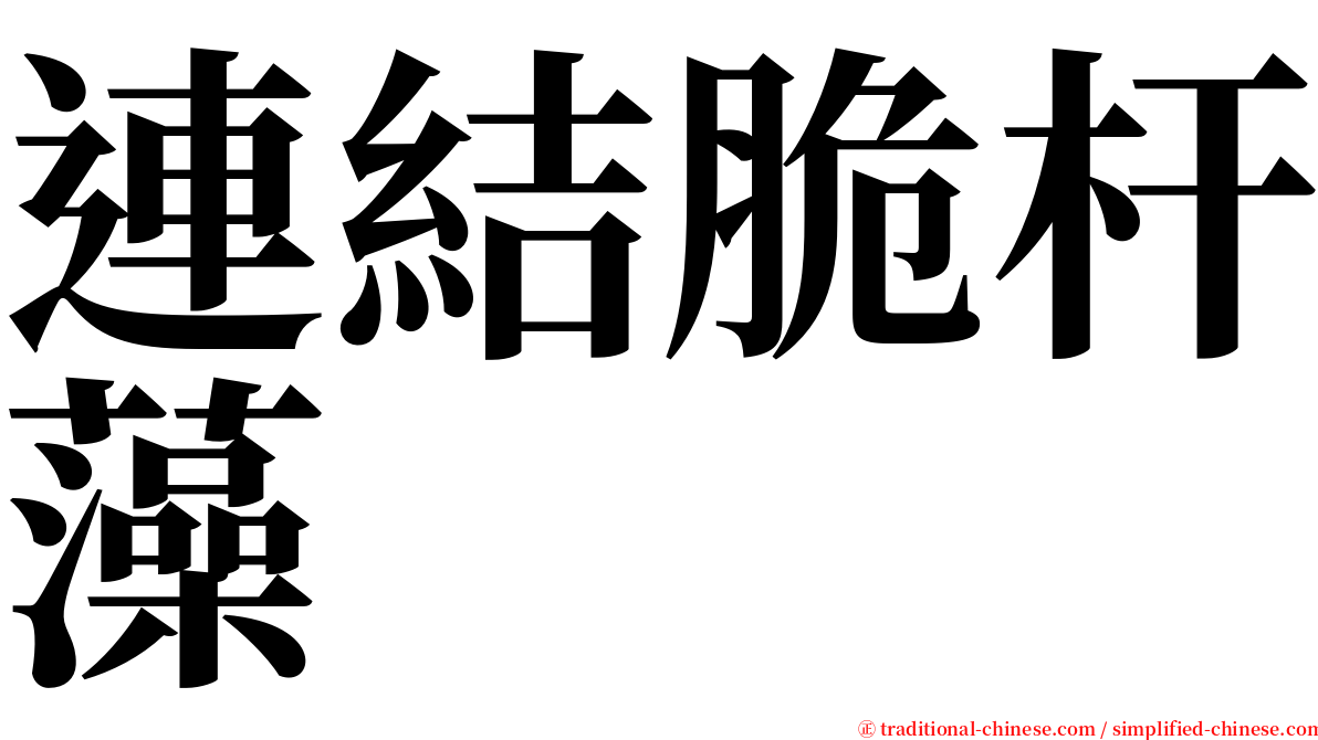 連結脆杆藻 serif font