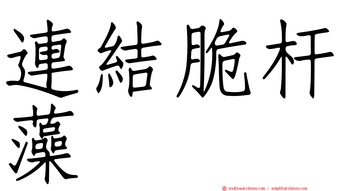 連結脆杆藻