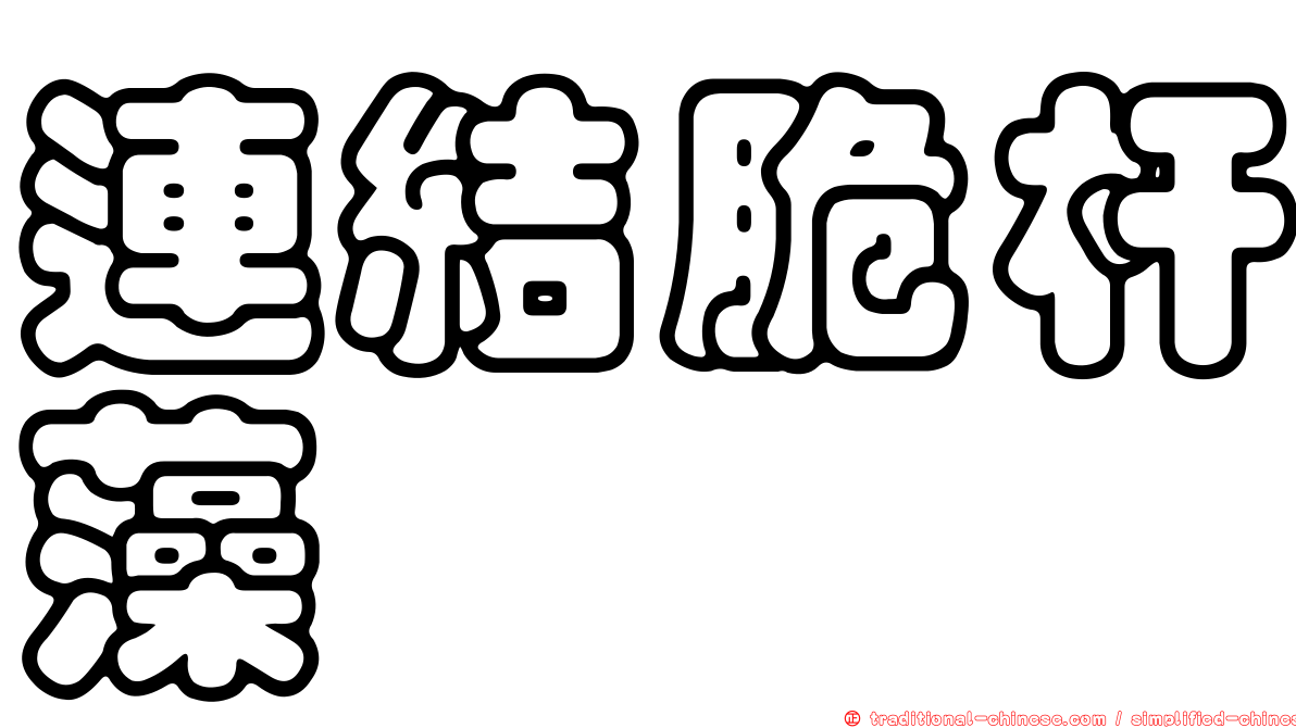連結脆杆藻
