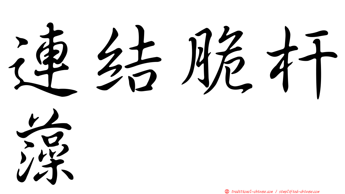 連結脆杆藻