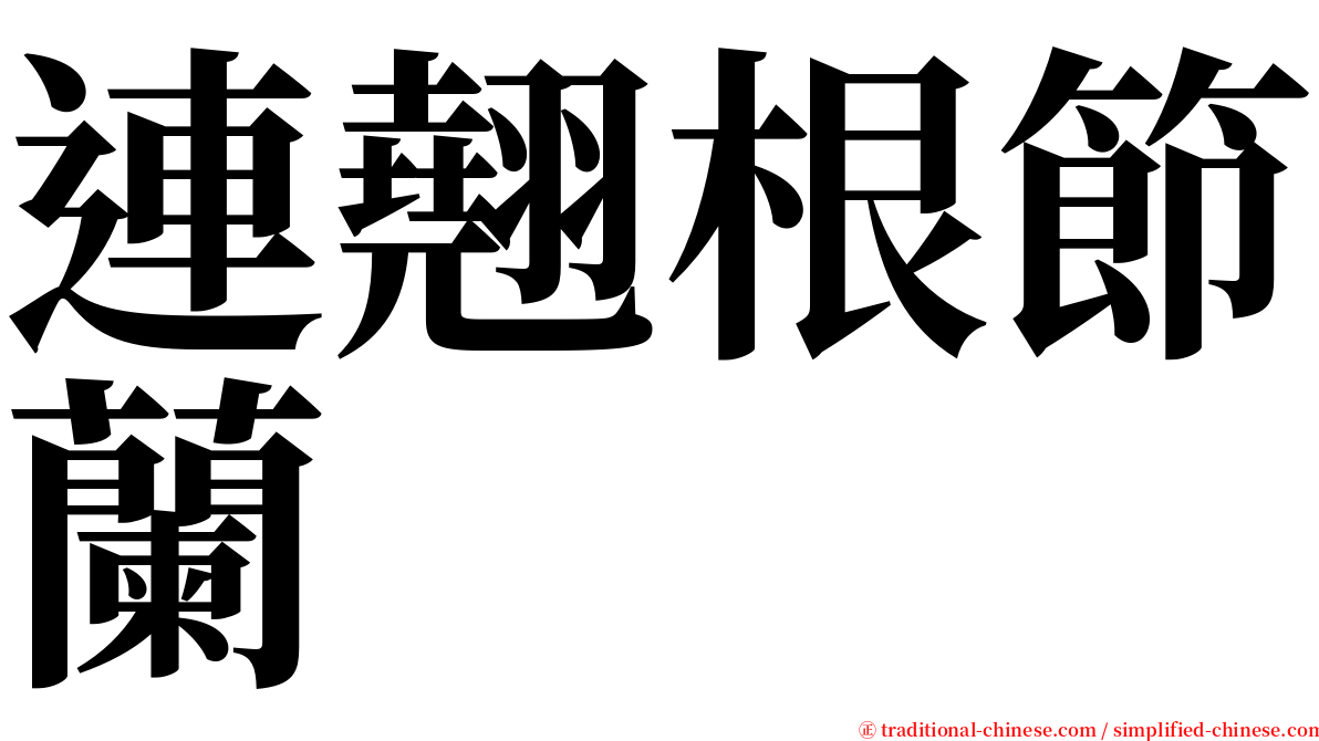 連翹根節蘭 serif font