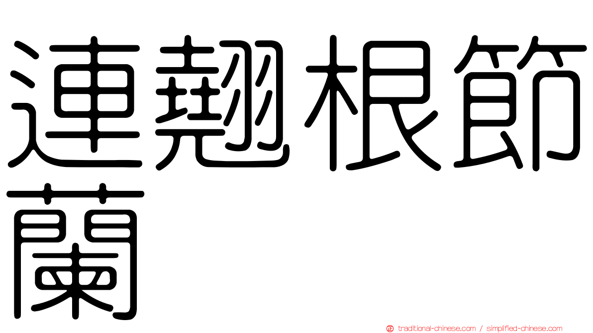 連翹根節蘭