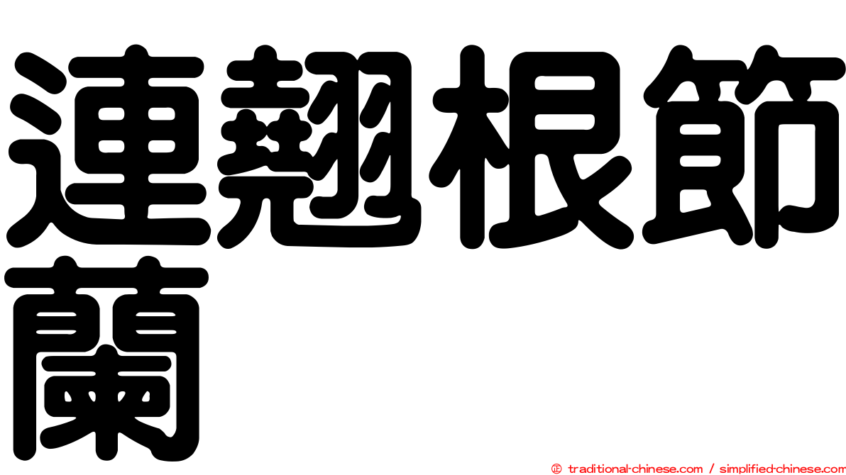連翹根節蘭