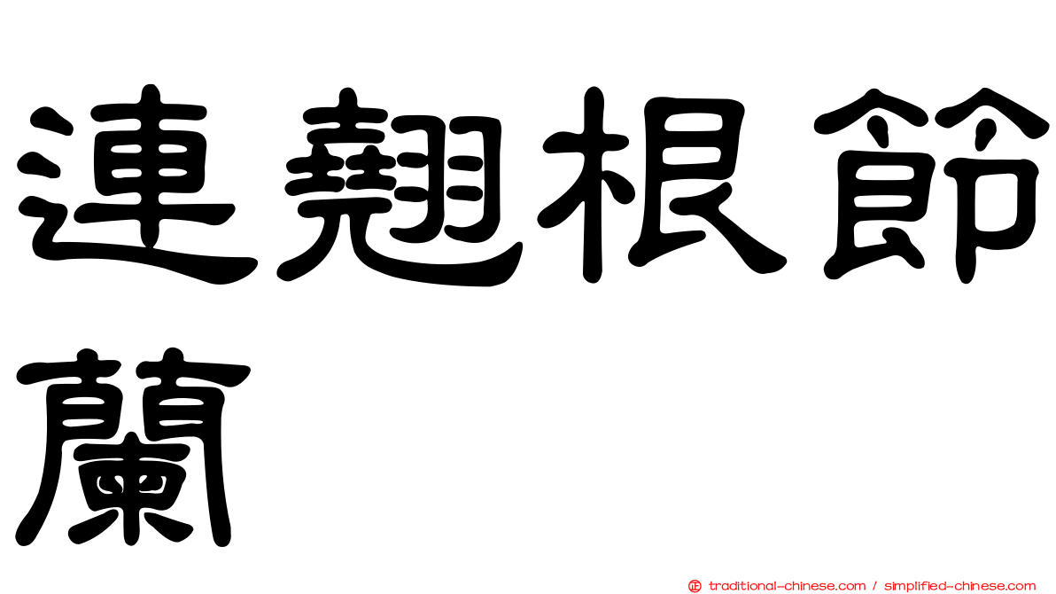 連翹根節蘭