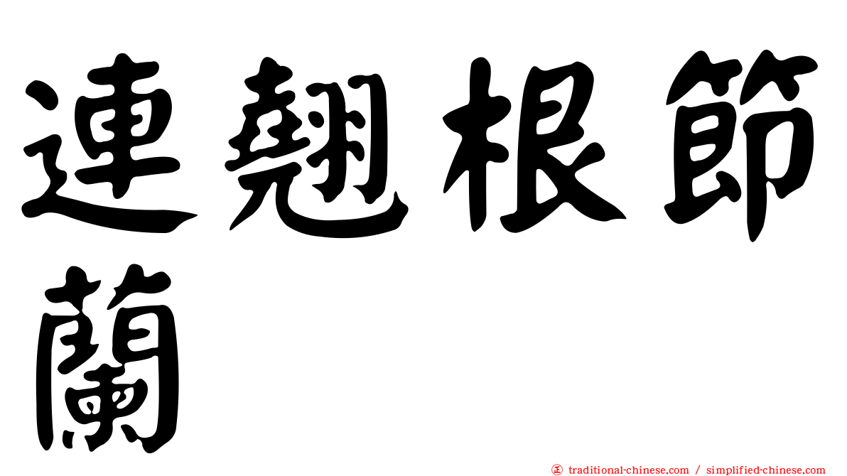 連翹根節蘭