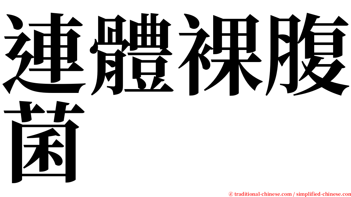 連體裸腹菌 serif font