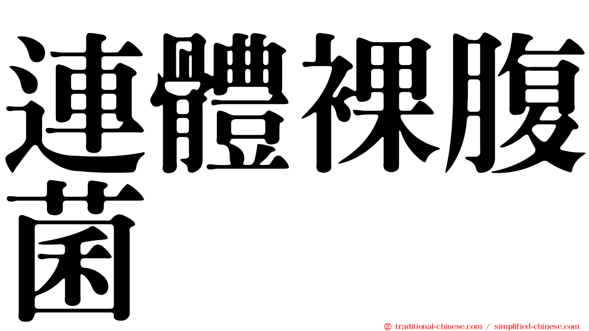 連體裸腹菌