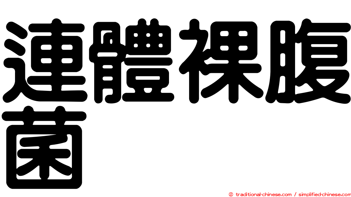 連體裸腹菌