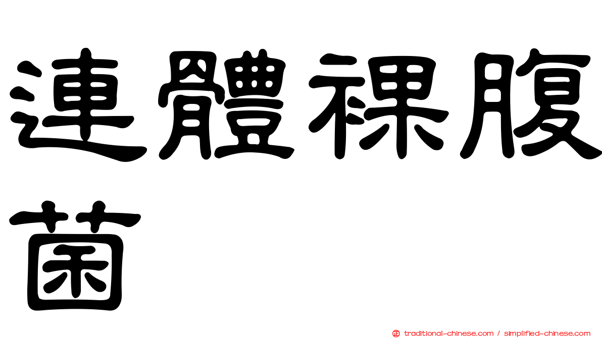連體裸腹菌