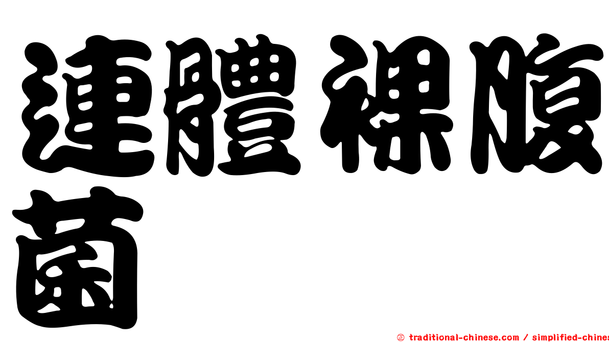 連體裸腹菌