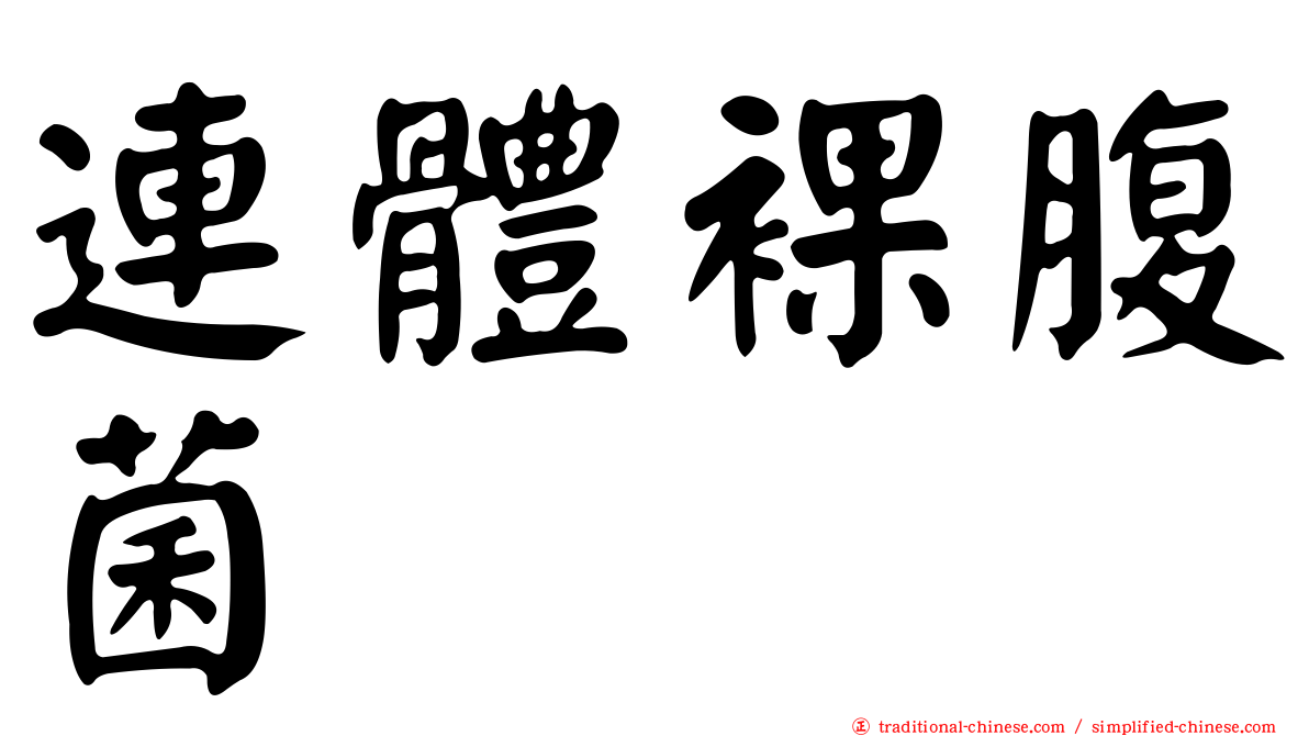 連體裸腹菌