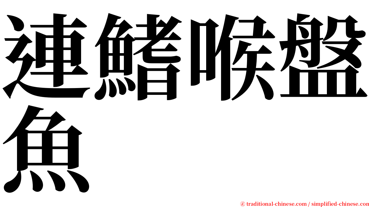連鰭喉盤魚 serif font