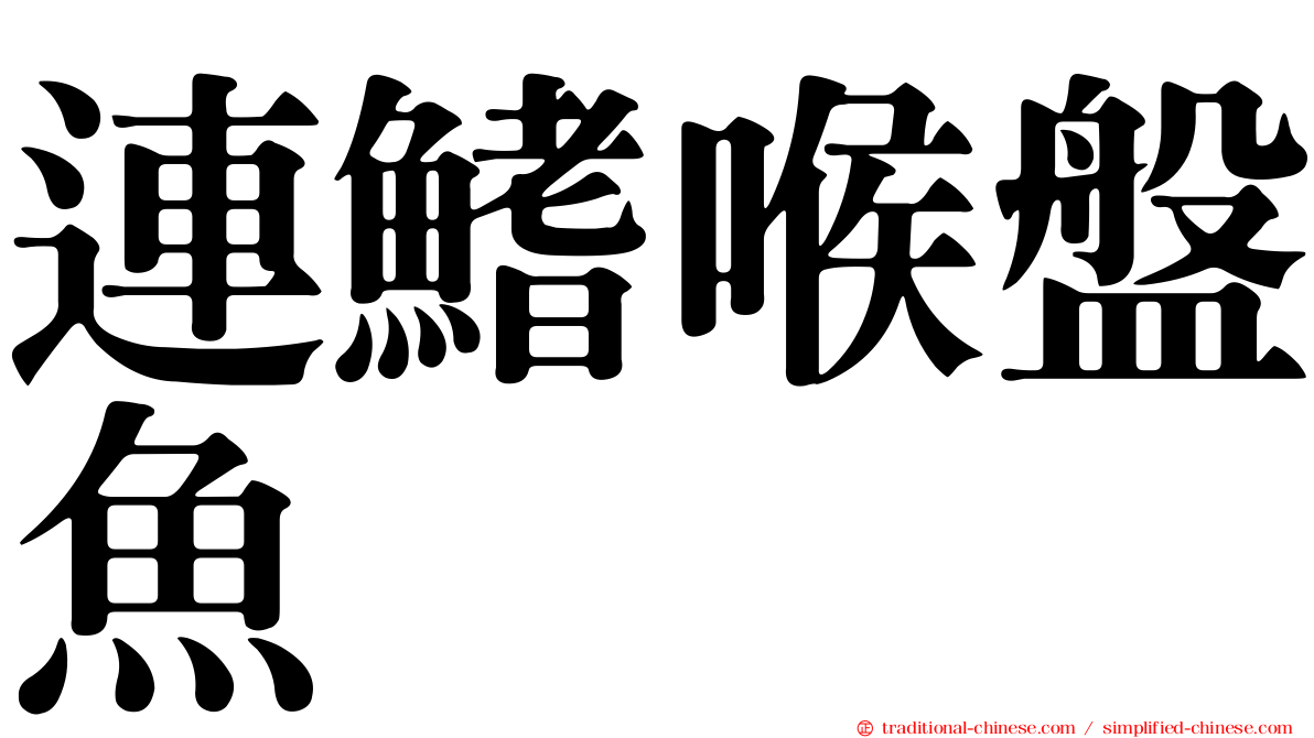 連鰭喉盤魚