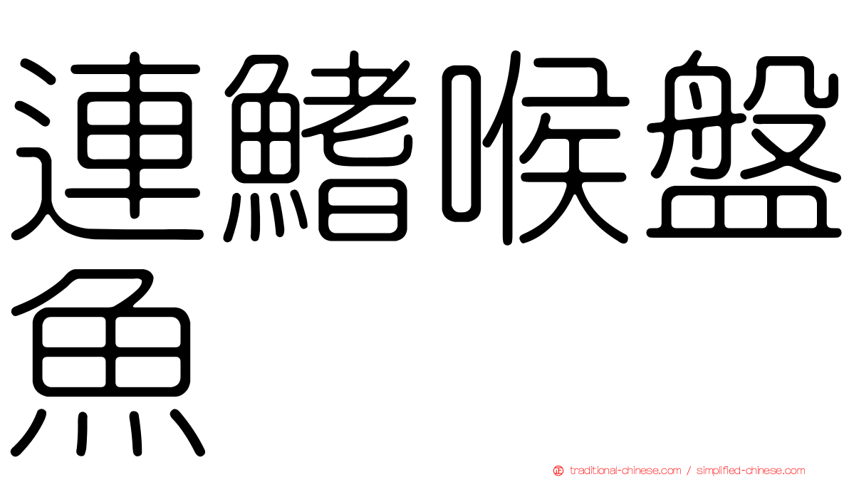 連鰭喉盤魚